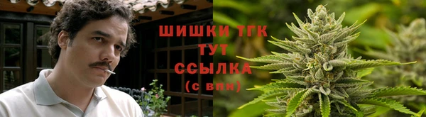 шишки Алзамай