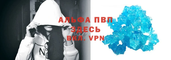 СК Алексин