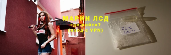СК Алексин