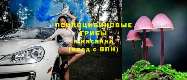 шишки Алзамай