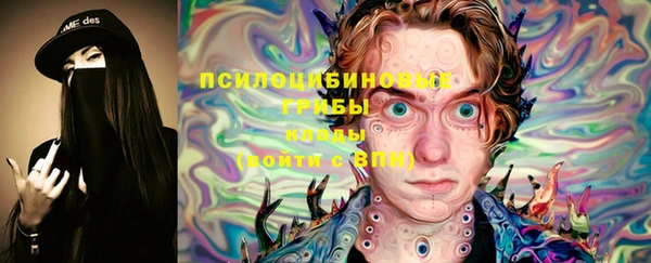 СК Алексин