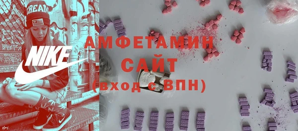 шишки Алзамай