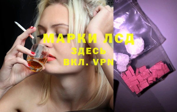 шишки Алзамай