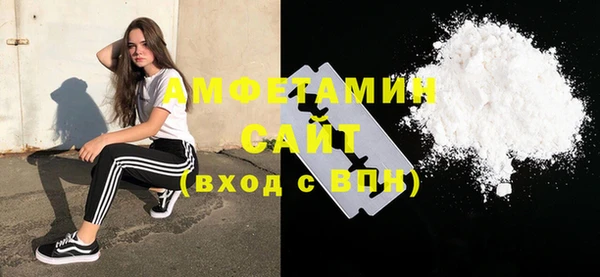 СК Алексин