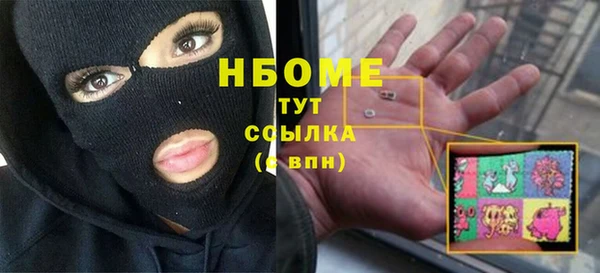 СК Алексин